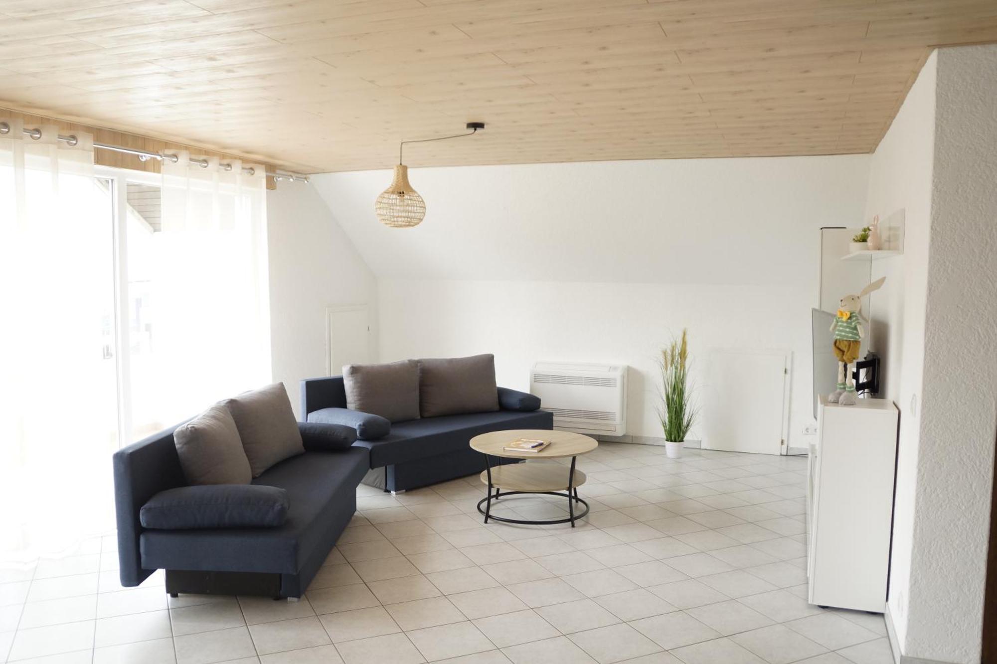 Ferienwohnungen Zur Elz - Traumhafte 160 Qm Wohnung Mit Pool Und Garten Naehe Des Europaparks Kappel-Grafenhausen Exterior foto